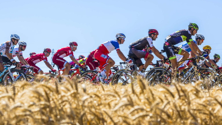 A Line of Cyclists on the Side of Dried Grass