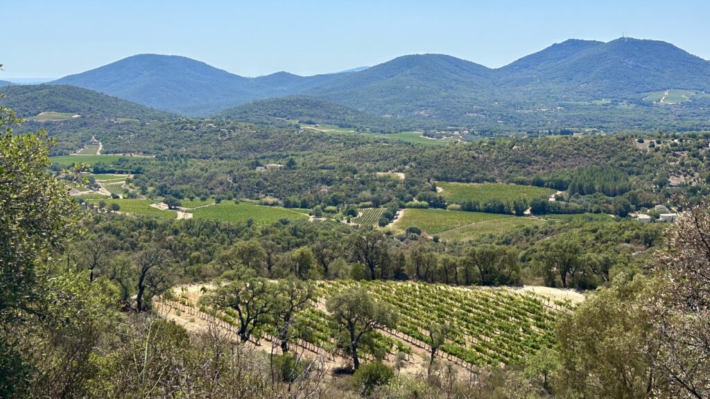 Vast vineyards surrounded by rolling mountains.