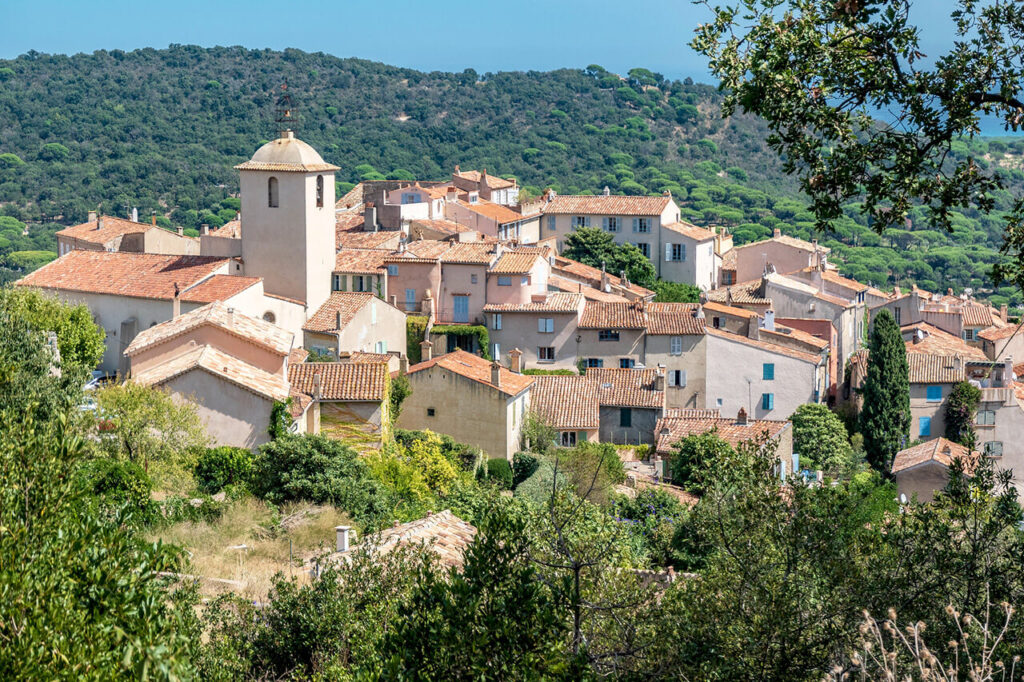 Charming houses surrounded by lush greenery
