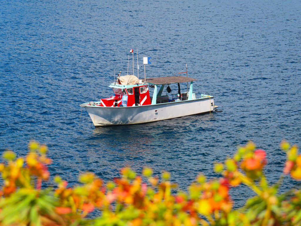 White boat with red cabin on water