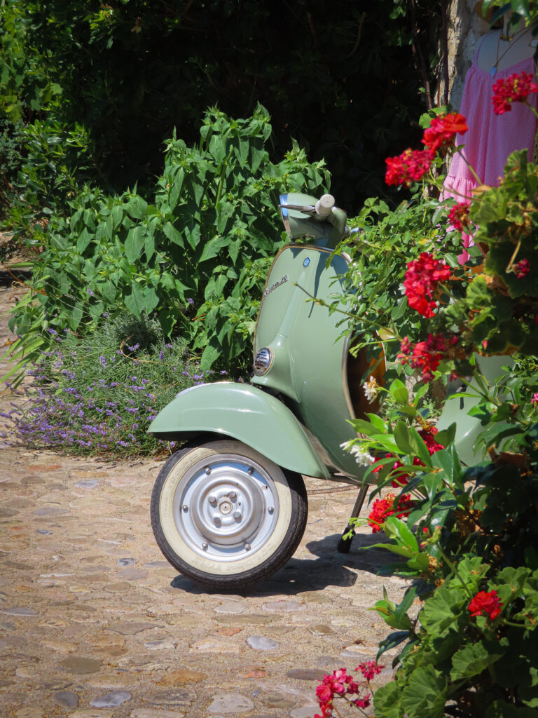 Vintage green scooter among red garden flowers